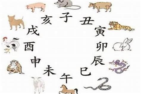 蛇 猴|蛇的六合：生肖相冲合、三合六合详解